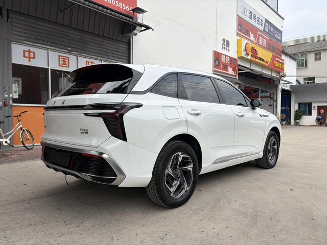 HongQi HS3 2023 immagine di auto #12