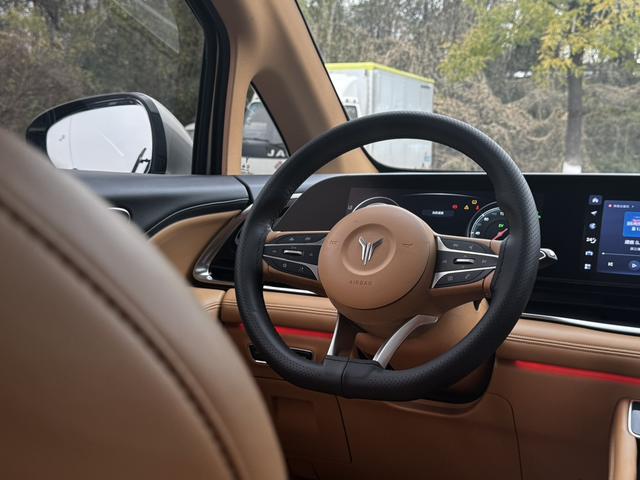 岚图汽车 岚图梦想家 2022 汽车图片 #12