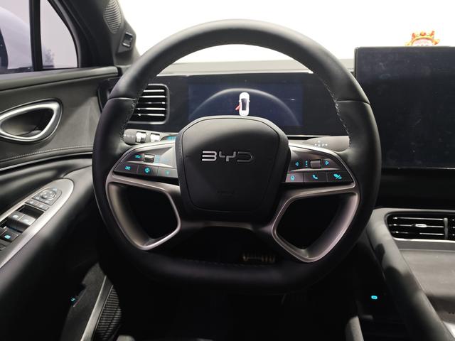 BYD Sea Lion 06 New Energy 2025 car image #12