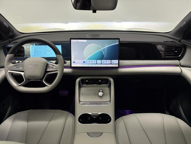 BYD Sea Lion 06 New Energy 2025 car image #12