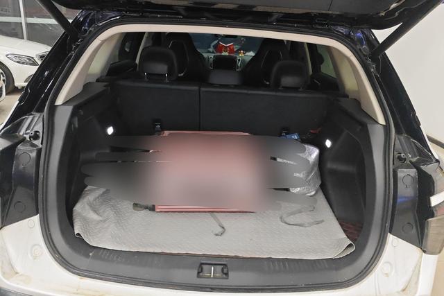 HongQi HS3 2023 immagine di auto #12