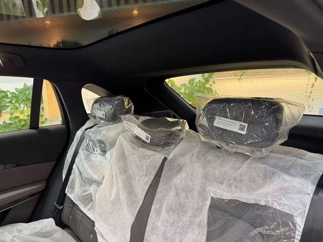 HongQi TianGong 08 car image #12