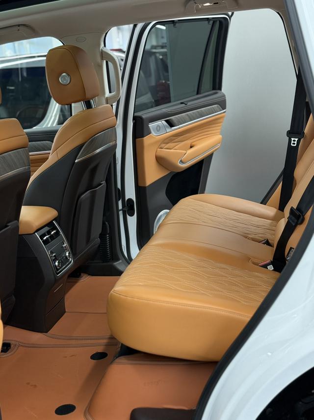 Tank 500 2024 car image #12