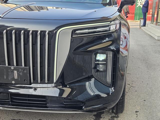 HongQi E-HS9 2022 car image #12