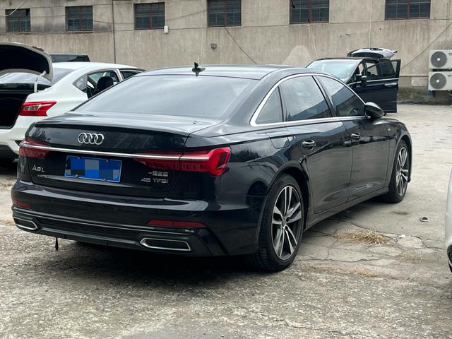 Audi A6L e-tron 2019 immagine di auto #12