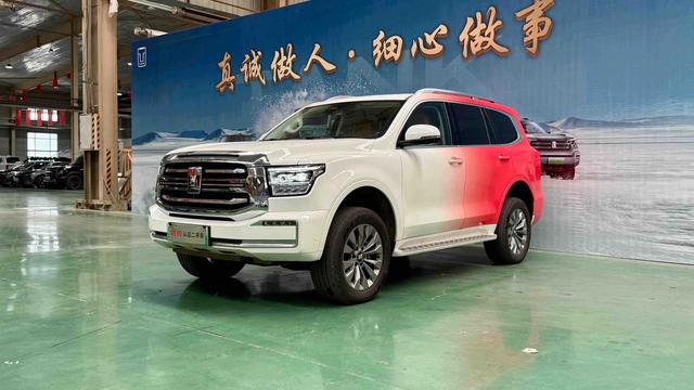 Tank 500 2024 car image #12