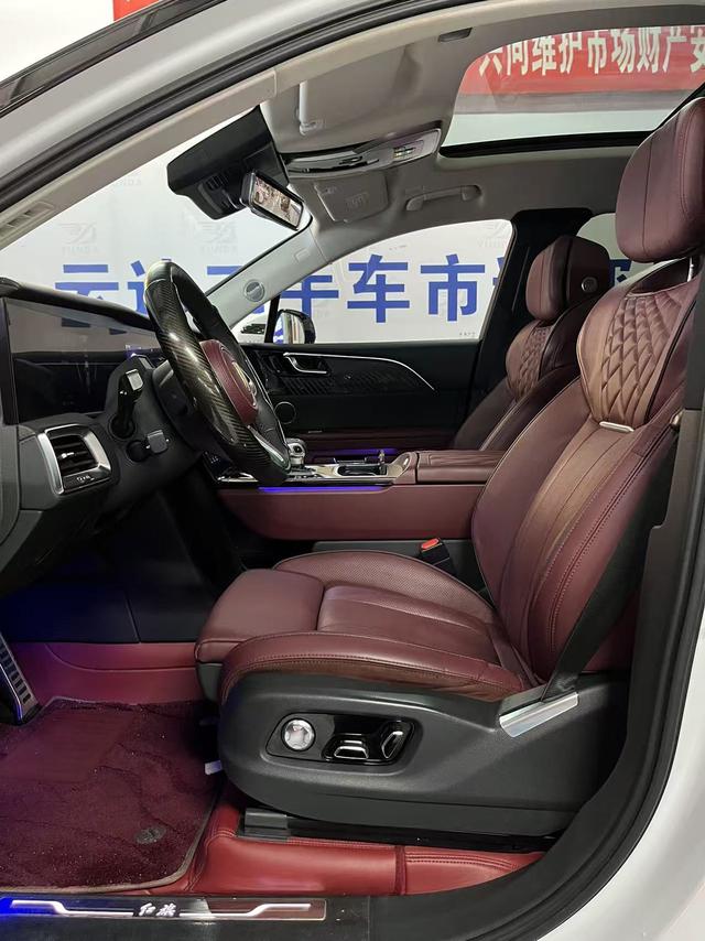 HongQi E-HS9 2022 #12 HongQi E-HS9 2022 car image #12