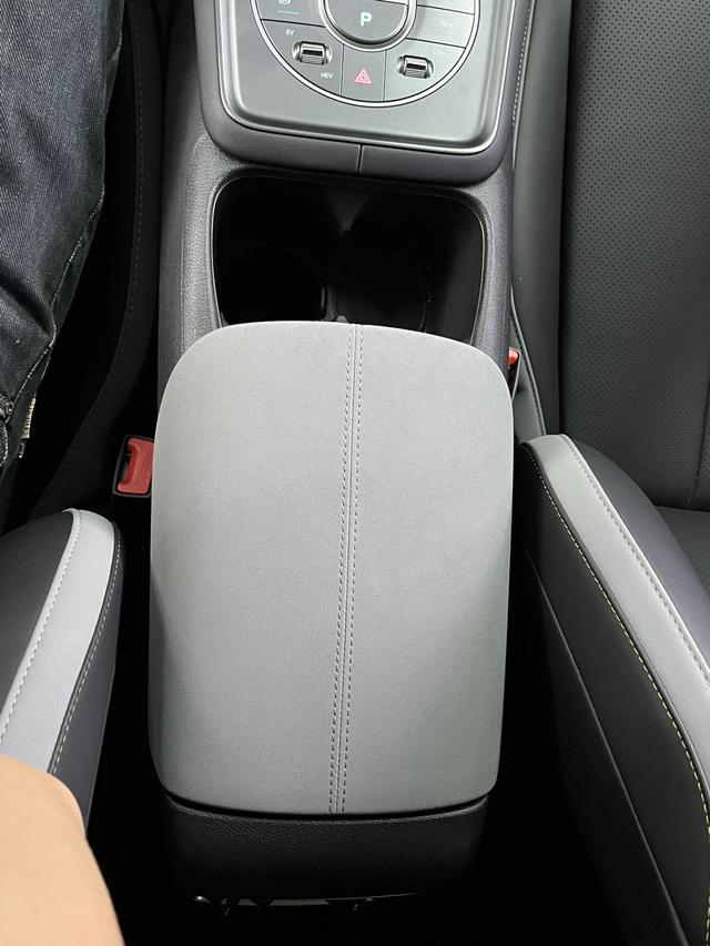 BYD Sea Lion 05 DM-i 2025 car image #12