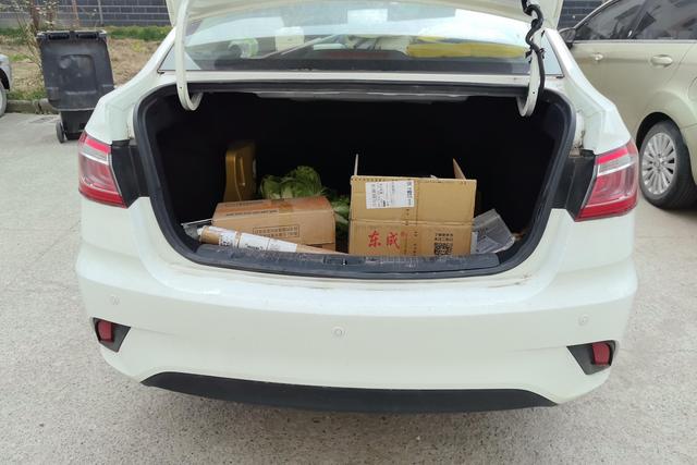 Changan Eado DT 2019 car image #12