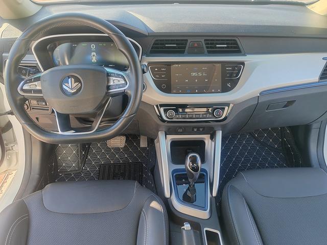 Livan Maple 30X 2021 изображение автомобиля #12