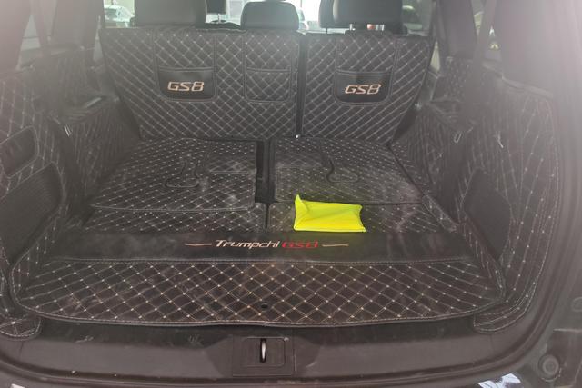 GAC Trumpchi GS8 2024 #12 GAC Trumpchi GS8 2024 car image #12