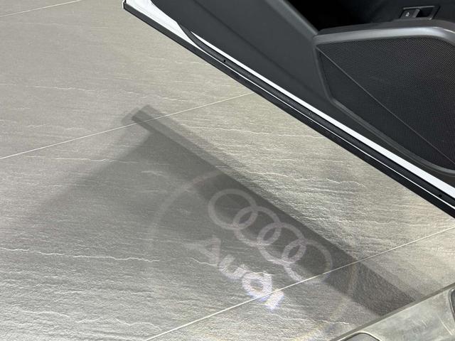 Audi Q5L 2020 car image #12