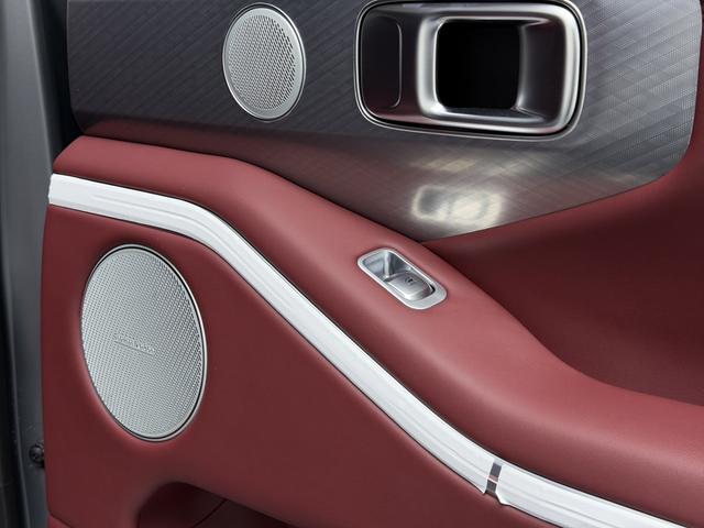 Tank 700 New Energy 2025 immagine di auto #12