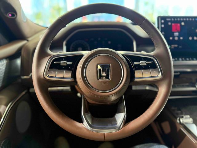 Tank 700 New Energy 2024 immagine di auto #12