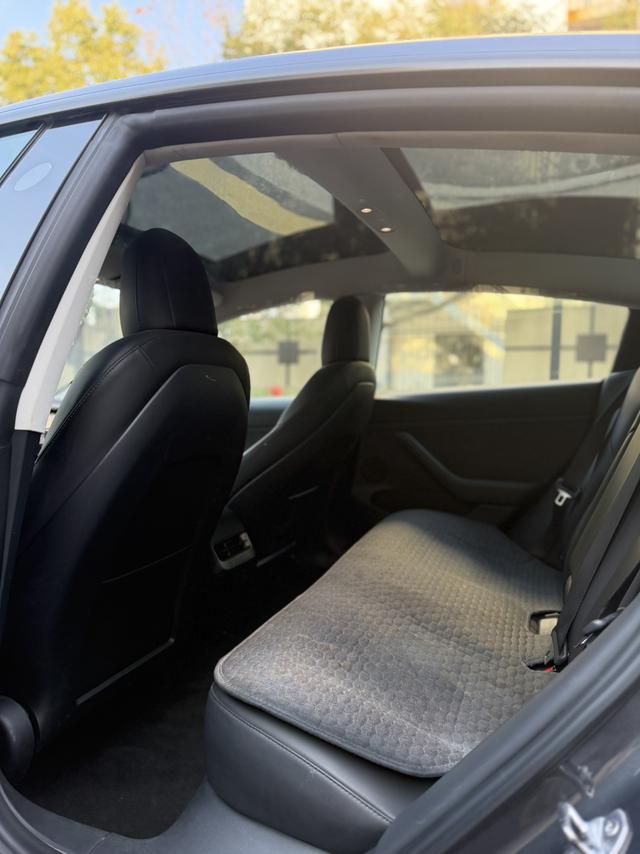 Tesla Model 3 2020 car image #12