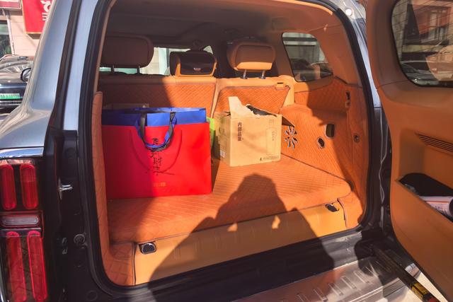 Tank 500 New Energy 2024 car image #12