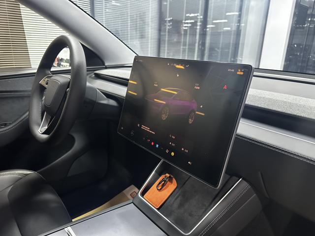 Tesla Model Y 2025 car image #12