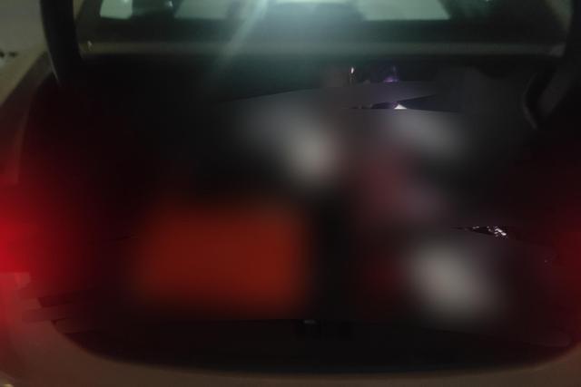 MI 2024 car image #12