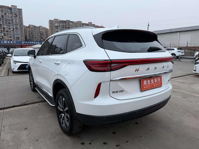 Haval 2021 immagine di auto #12