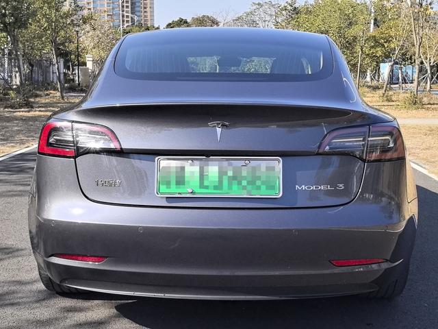 Tesla Model 3 2019 #12 Tesla Model 3 2019 car image #12