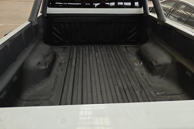 Great Wall Poer 2023 car image #12