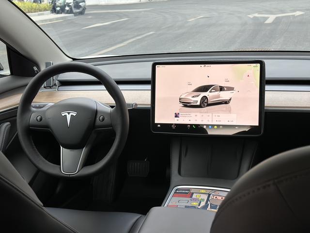 Tesla Model 3 2022 car image #12