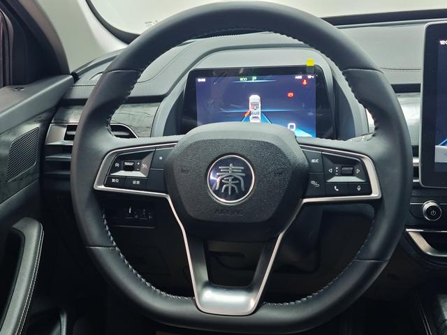 BYD Qin Pro New Energy 2019 car image #12