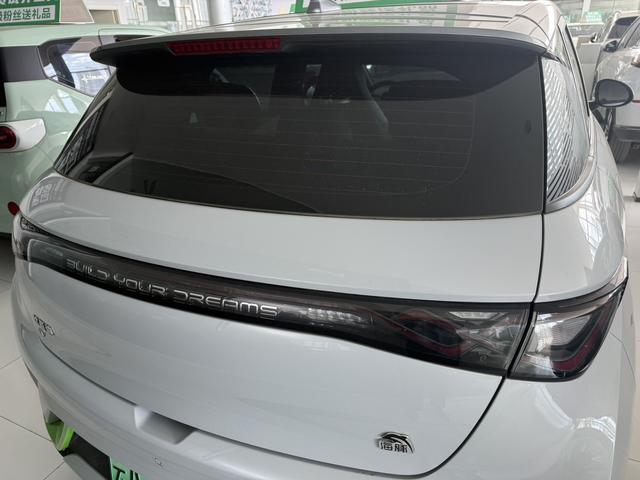BYD Dolphin 2022 #12 BYD Dolphin 2022 car image #12