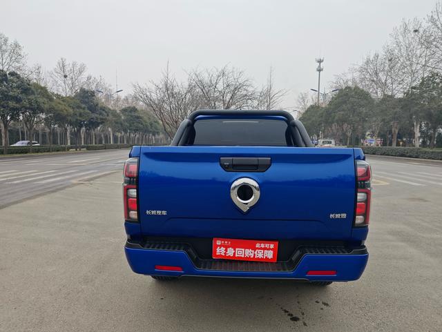 Great Wall Poer 2024 car image #12