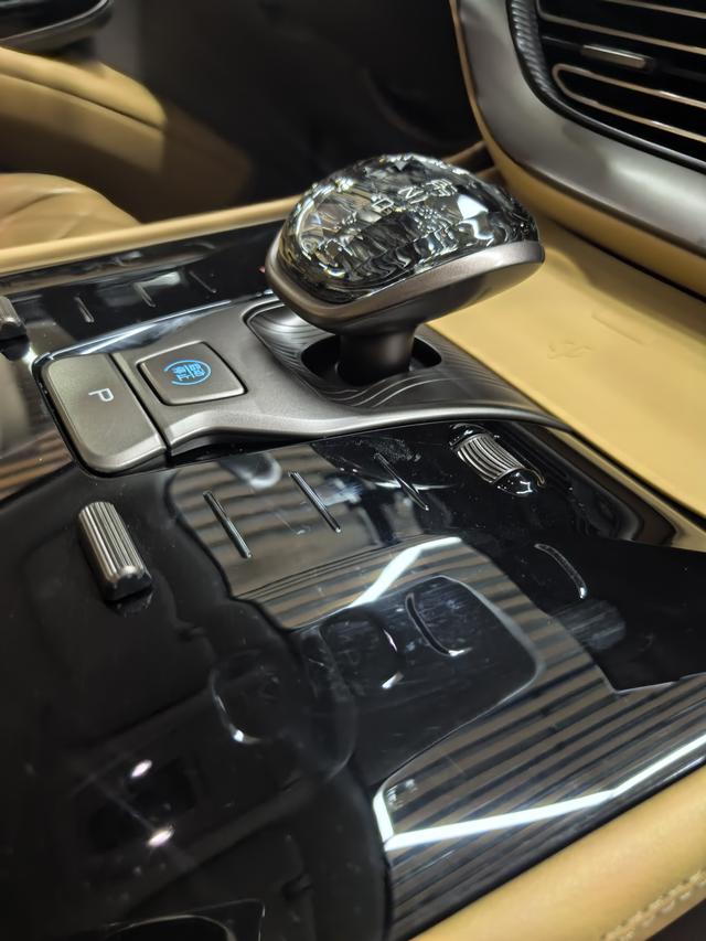 Denza D9 2023 imagen de coche #12