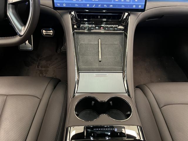 Denza 2024 immagine di auto #12