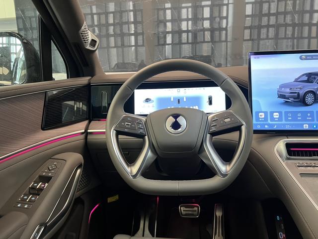 Denza 2025 imagem de carro #12