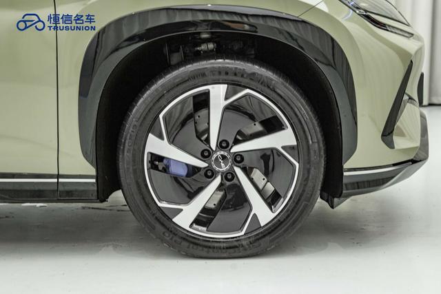 BYD Sea Lion 07 EV 2024 car image #12