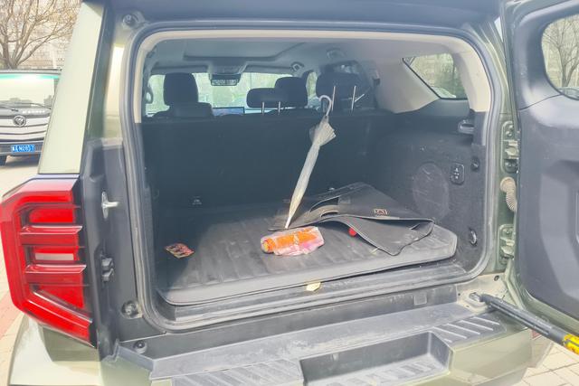 Tank 400 New Energy 2024 изображение автомобиля #12