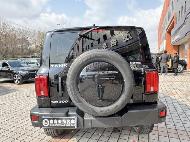 Tank 300 2023 car image #12