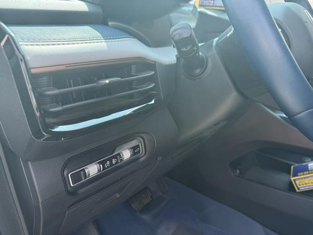 睿蓝汽车 睿蓝9 2024 汽车图片 #12