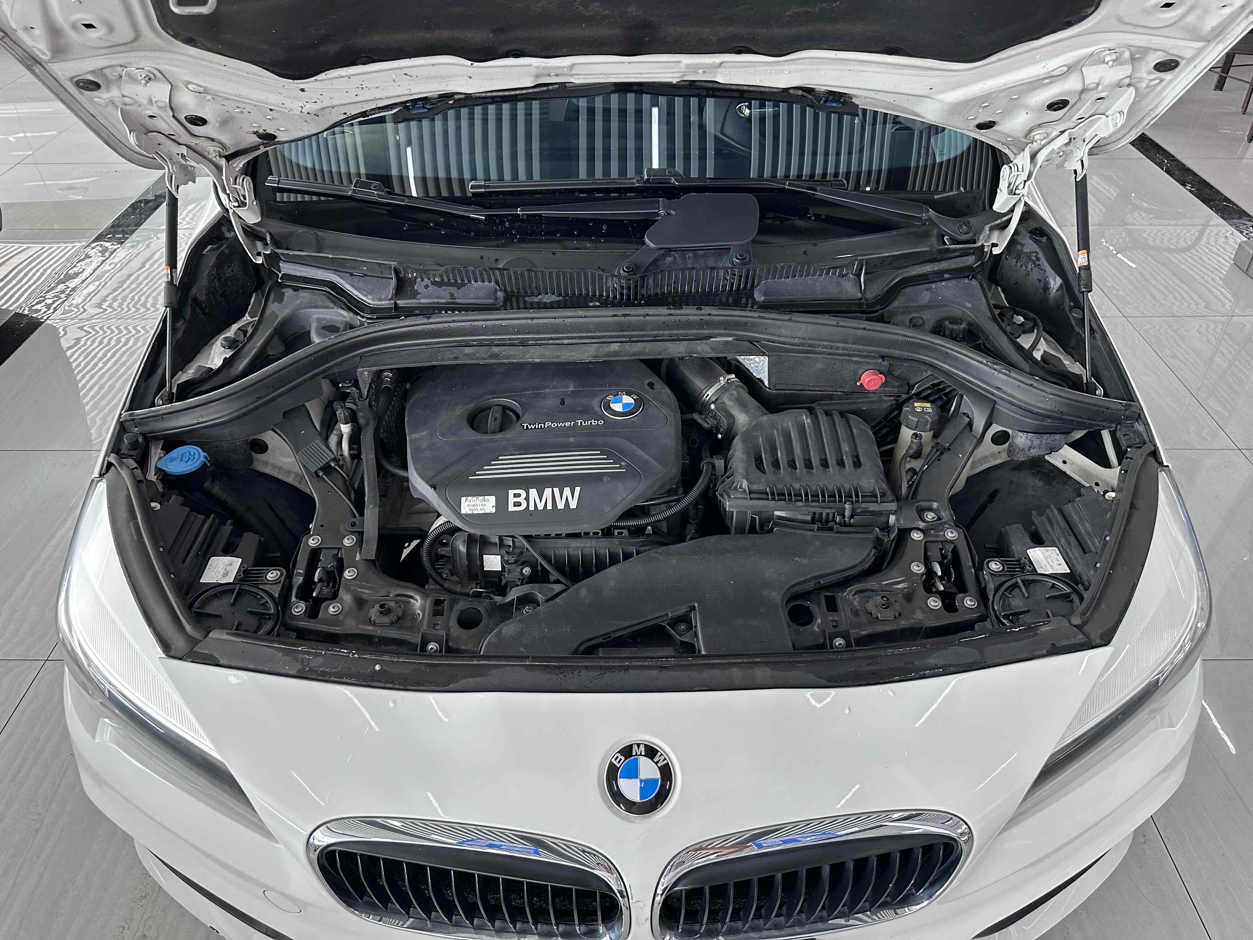 BMW 2 Series (Imported) 2015 car image #12