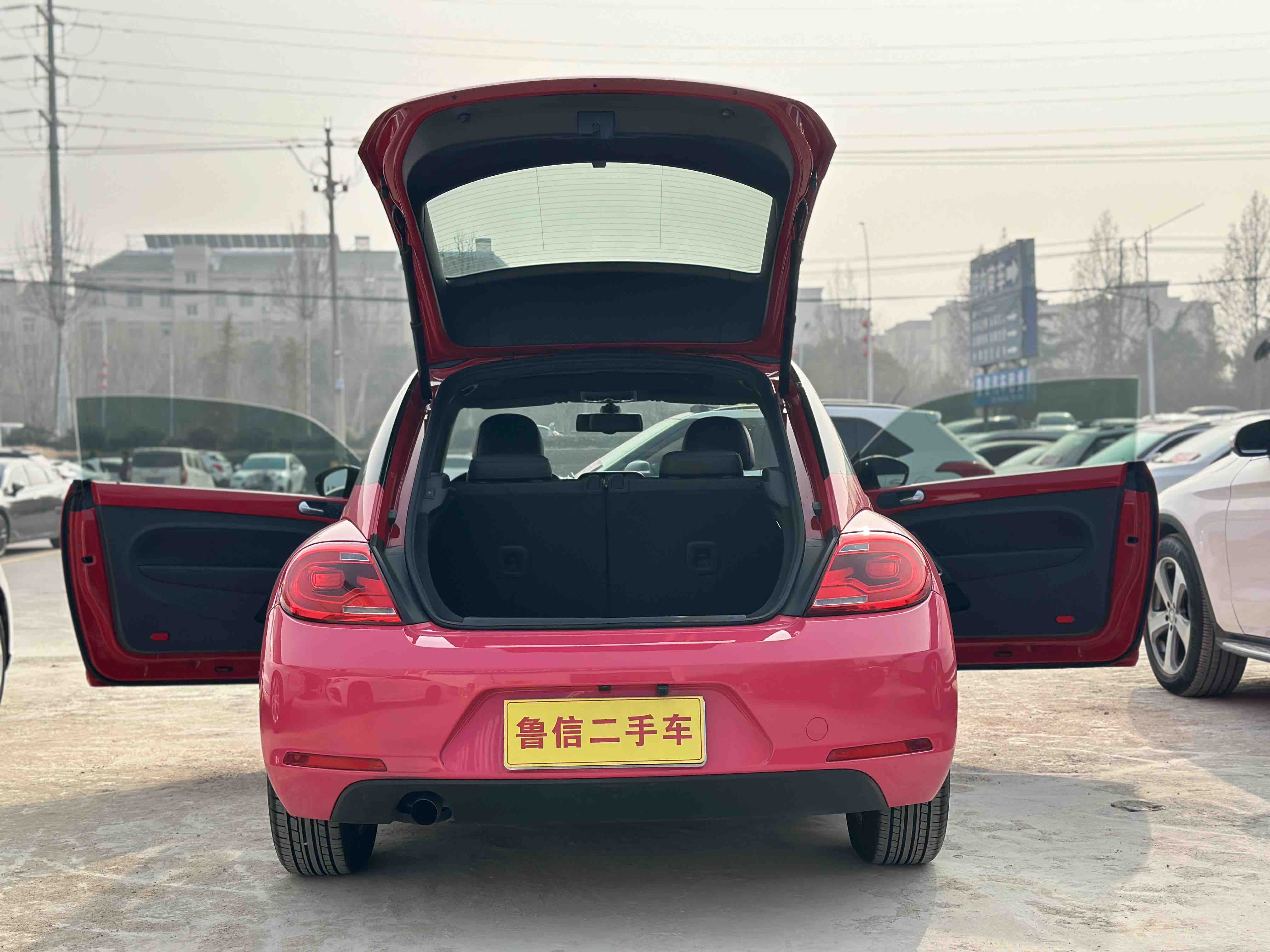 Volkswagen Beetle 2014 immagine di auto #12