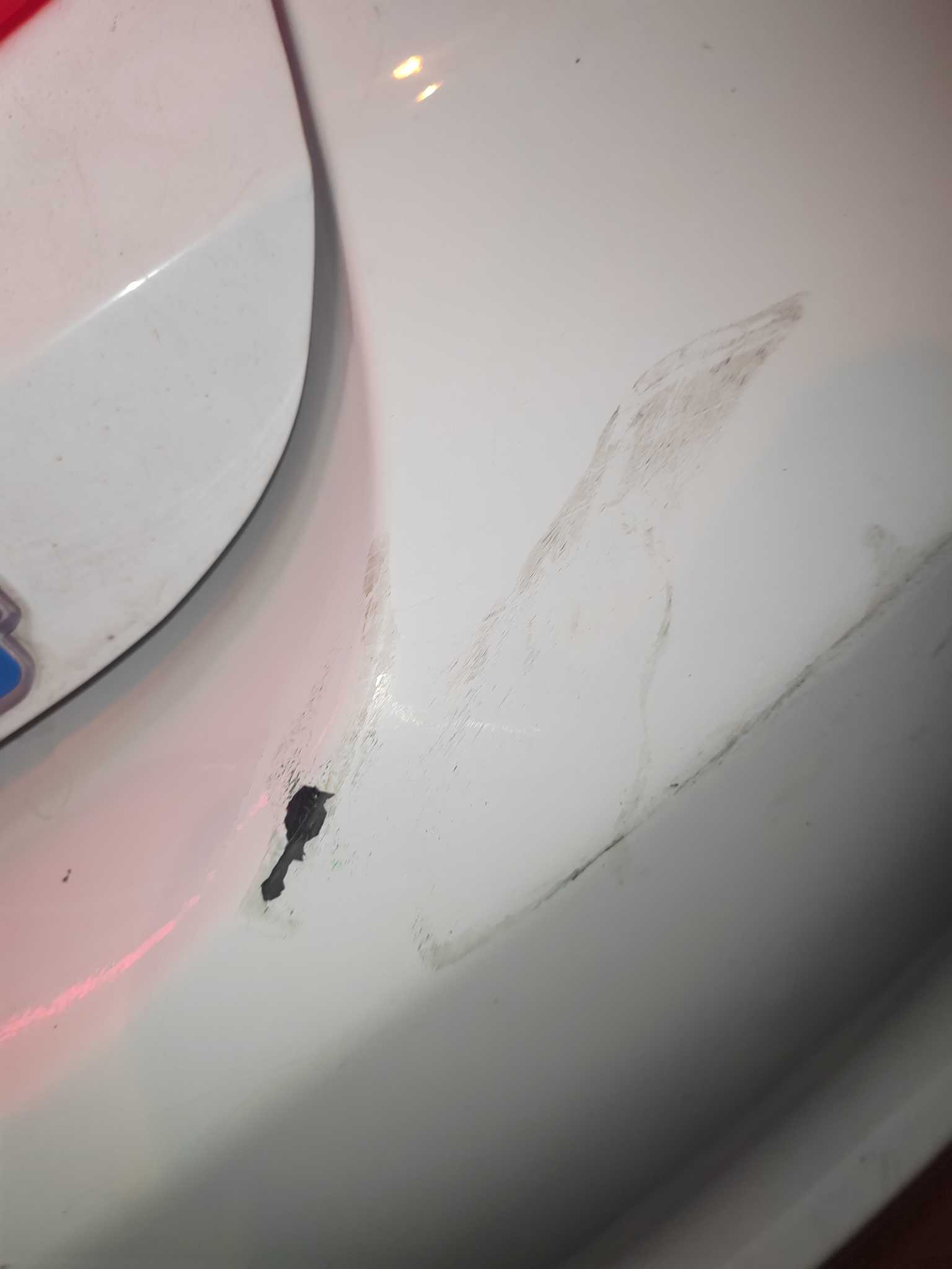 BYD Qin New Energy 2018 car image #12