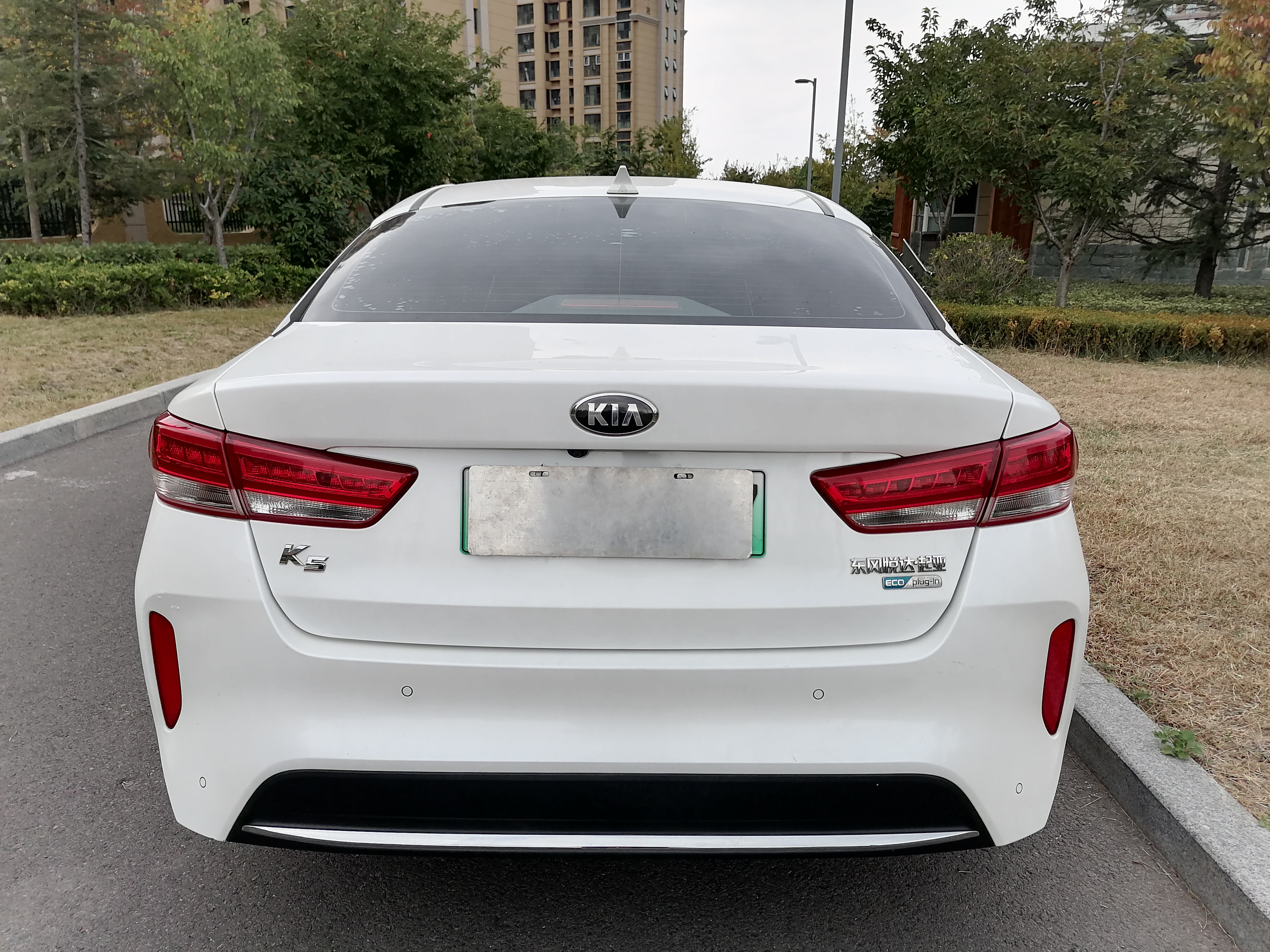 起亚 起亚K5新能源 2019 汽车图片 #12