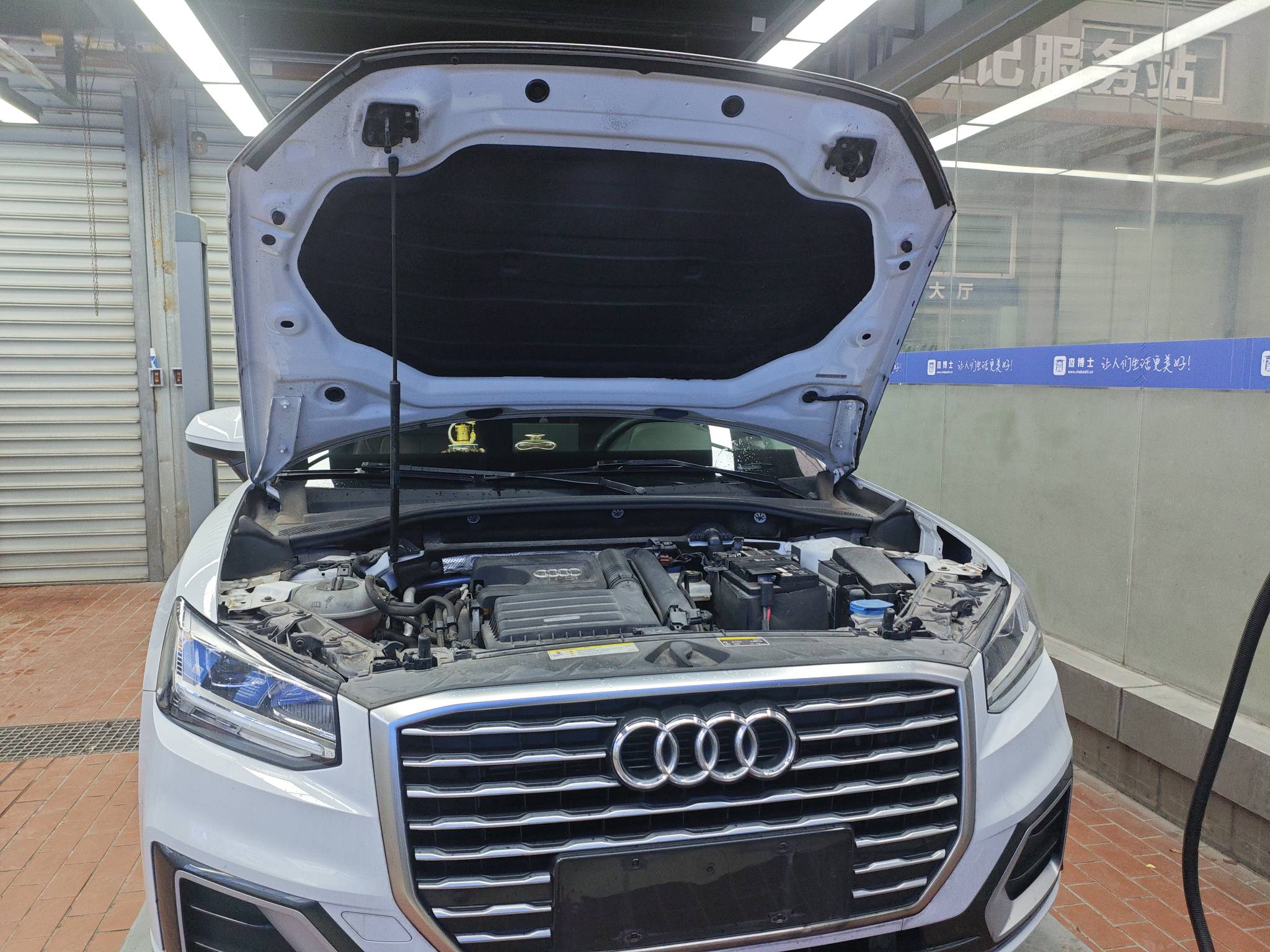 Q2L 2019 car image #12