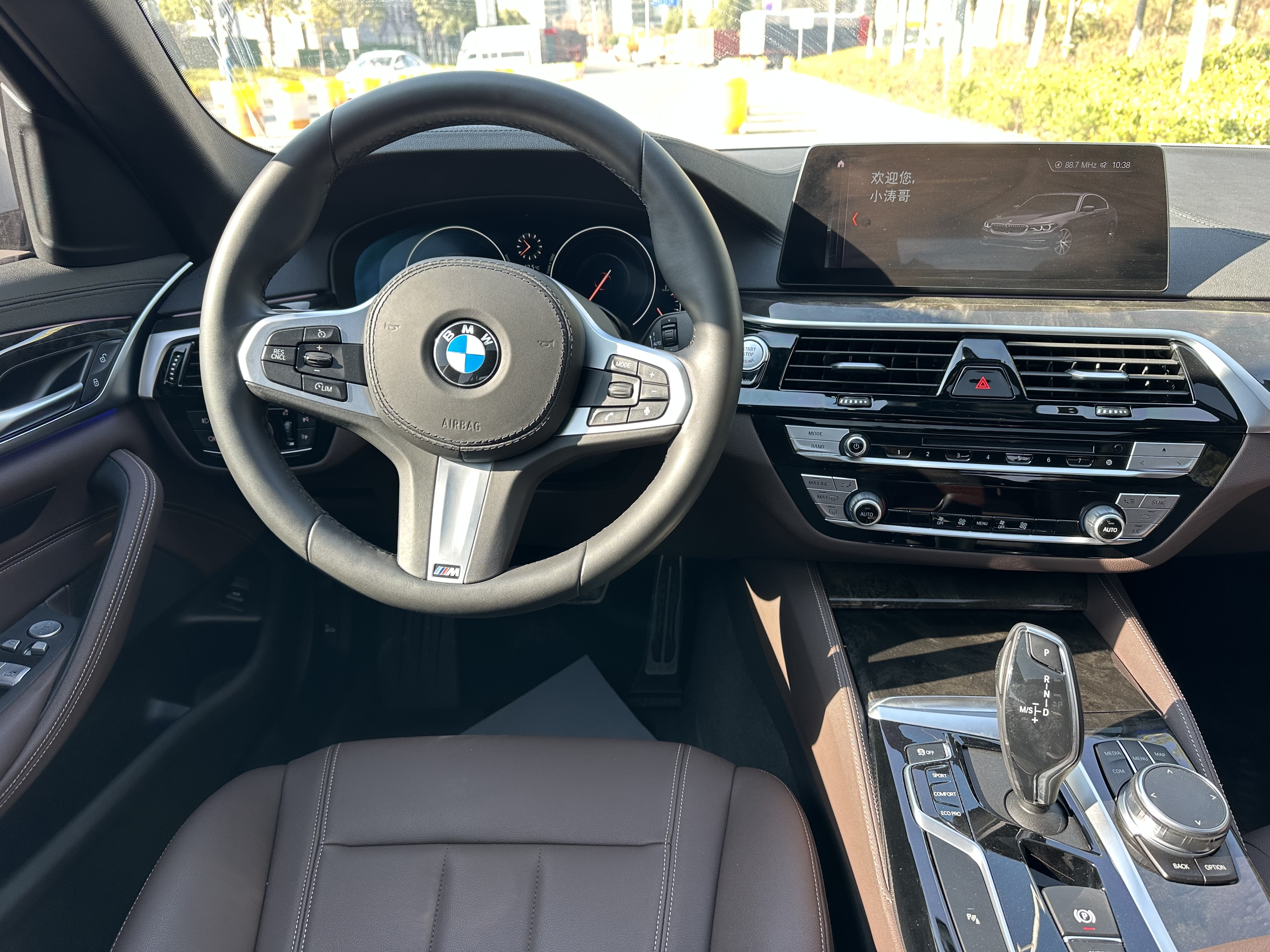 BMW 5 Series 2019 car image #12