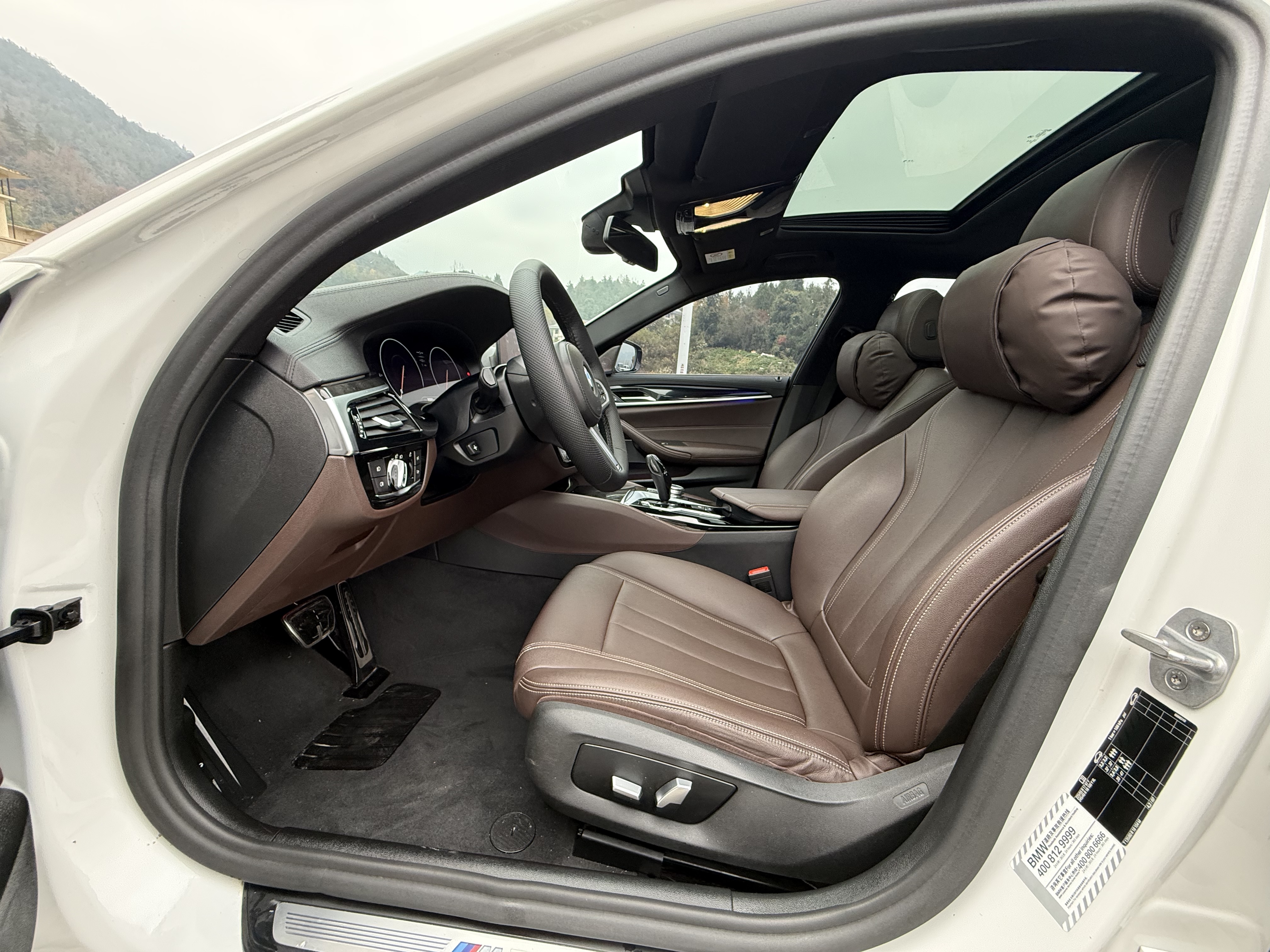 BMW 5 Series 2019 car image #12