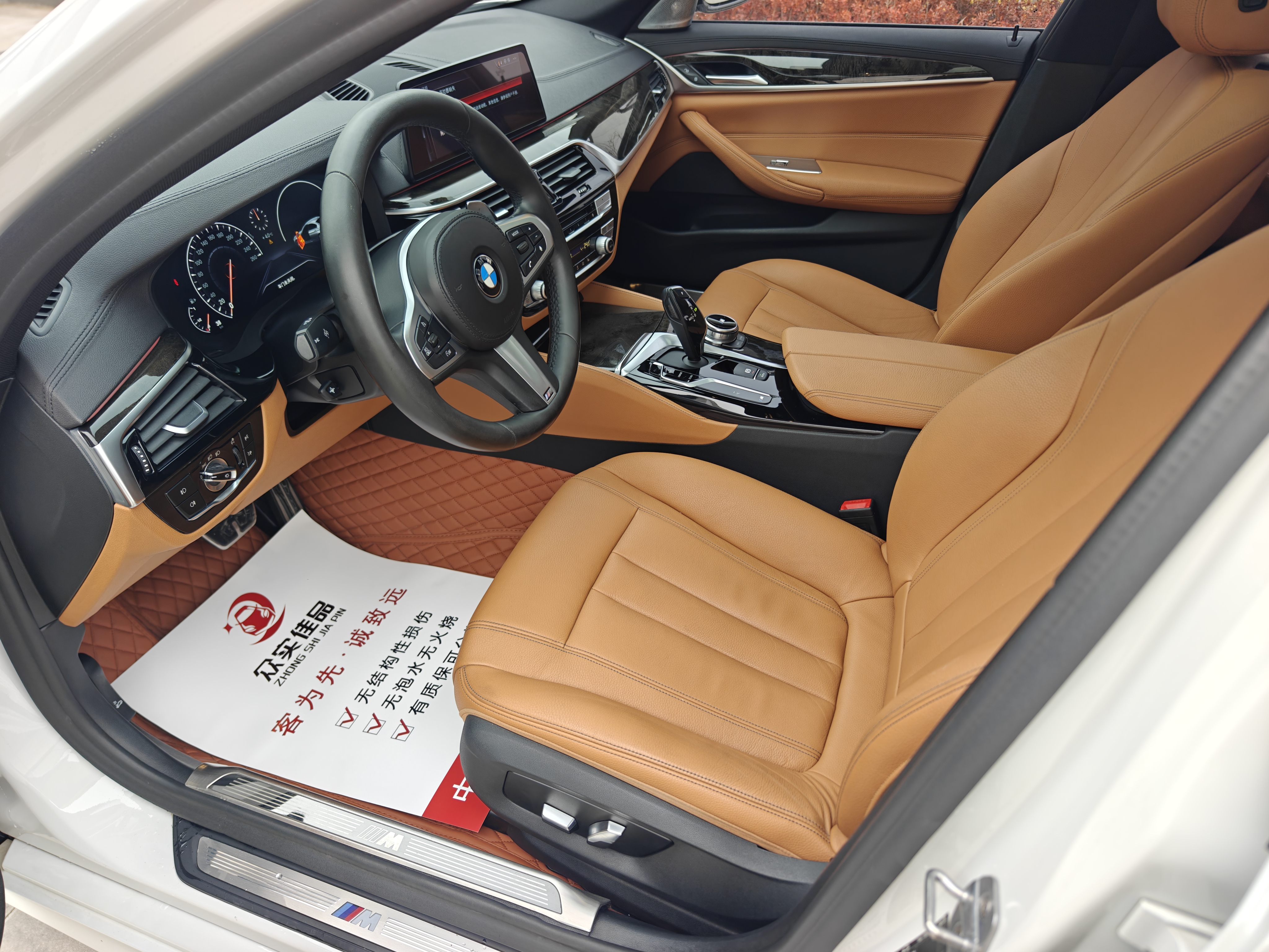 BMW 5 Series 2019 car image #12