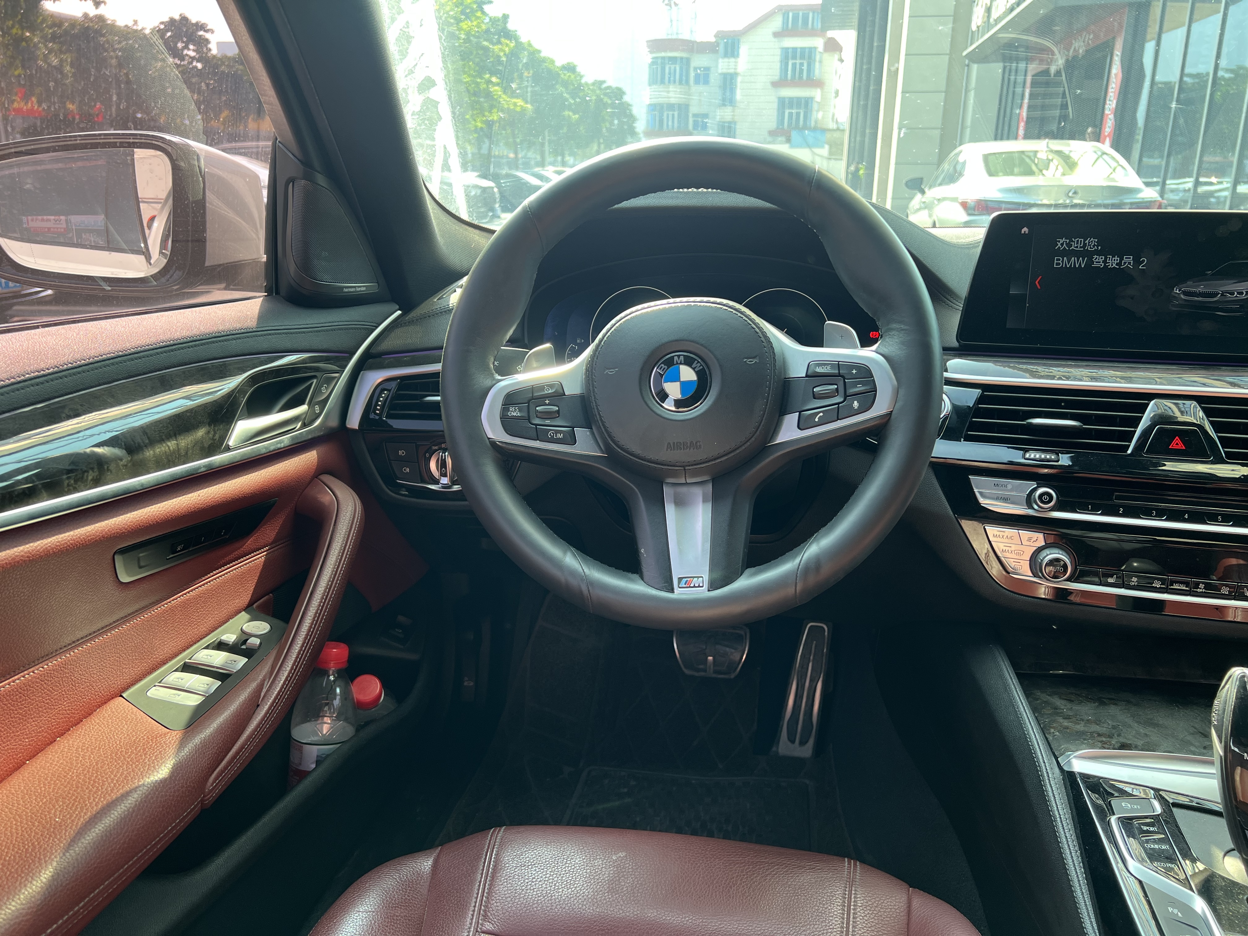 BMW 5 Series 2019 car image #12