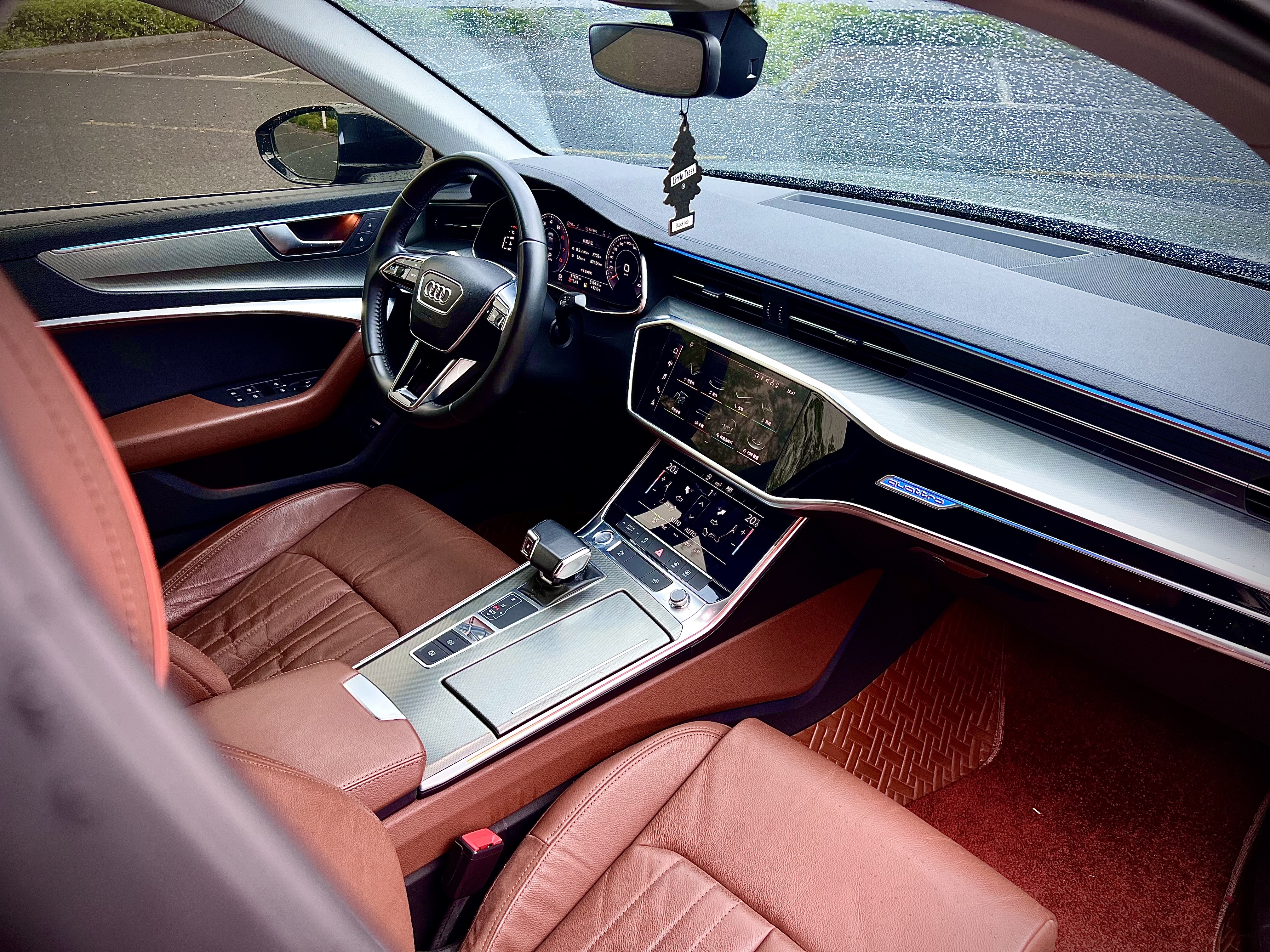 Audi A6L 2020 imagen de coche #12