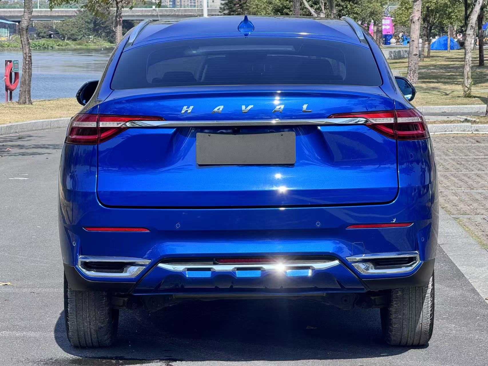 Haval F7x 2020 car image #12