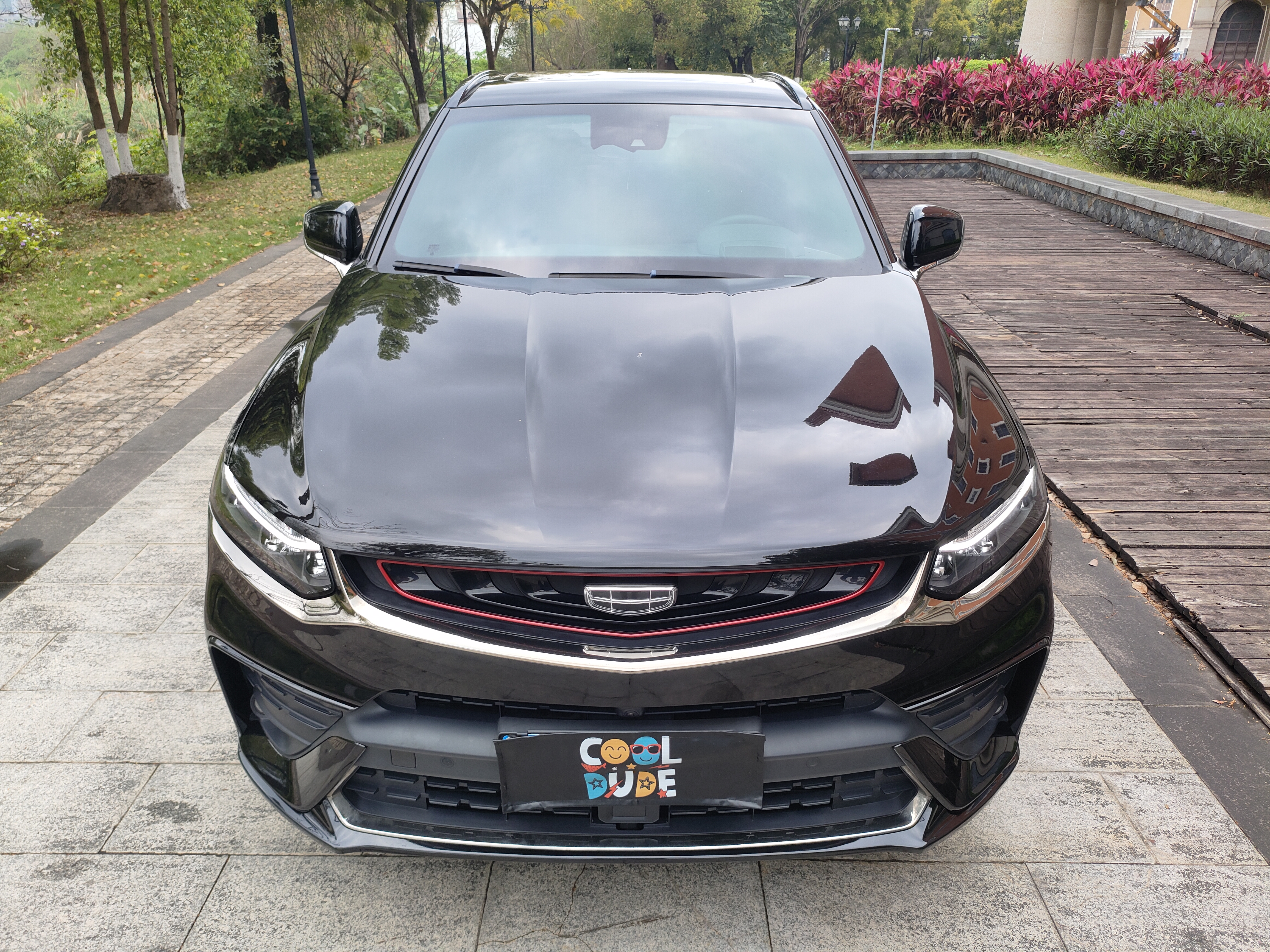 GEELY Tugella 2020 car image #12