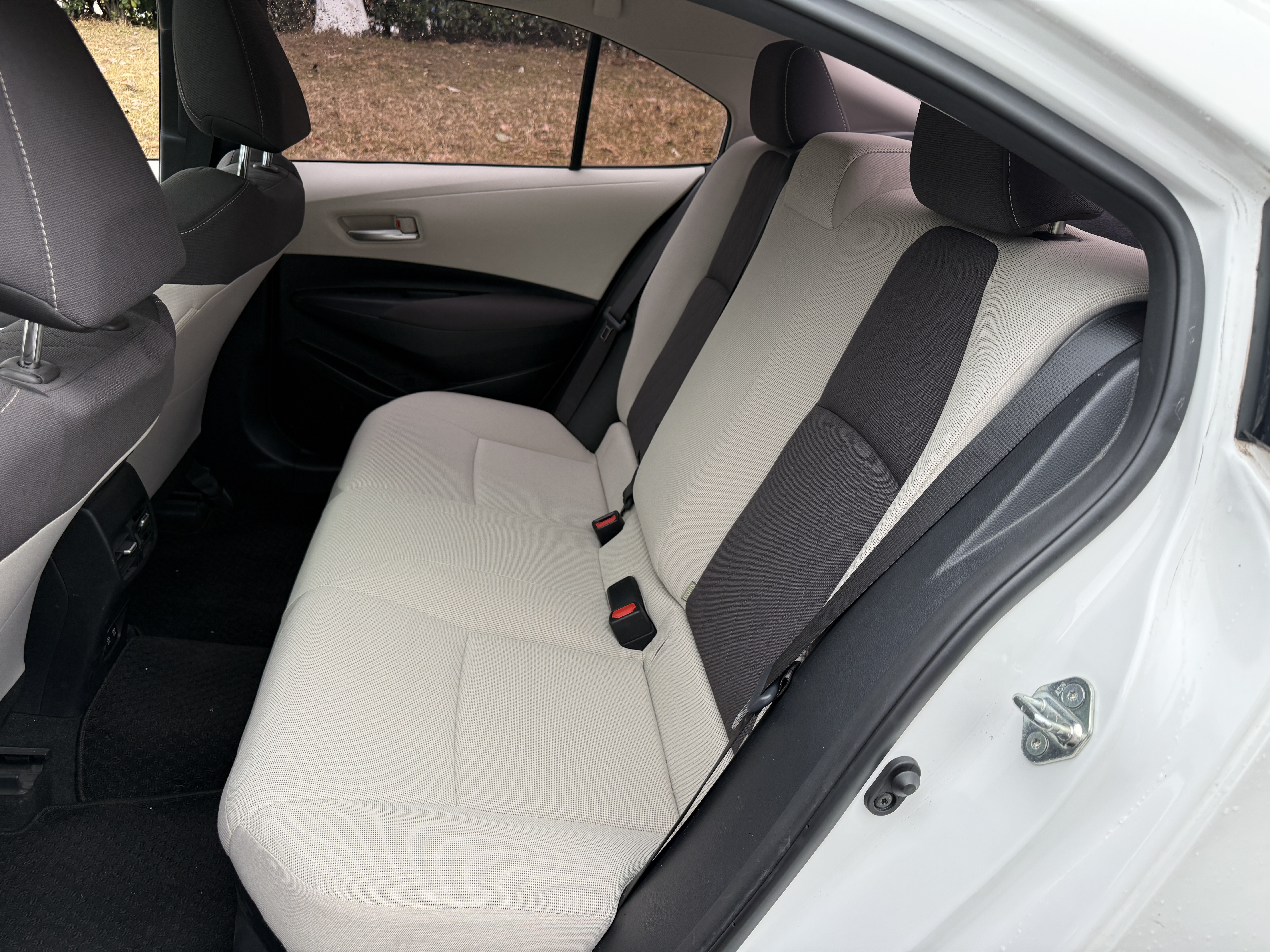 Corolla 2019 car image #12