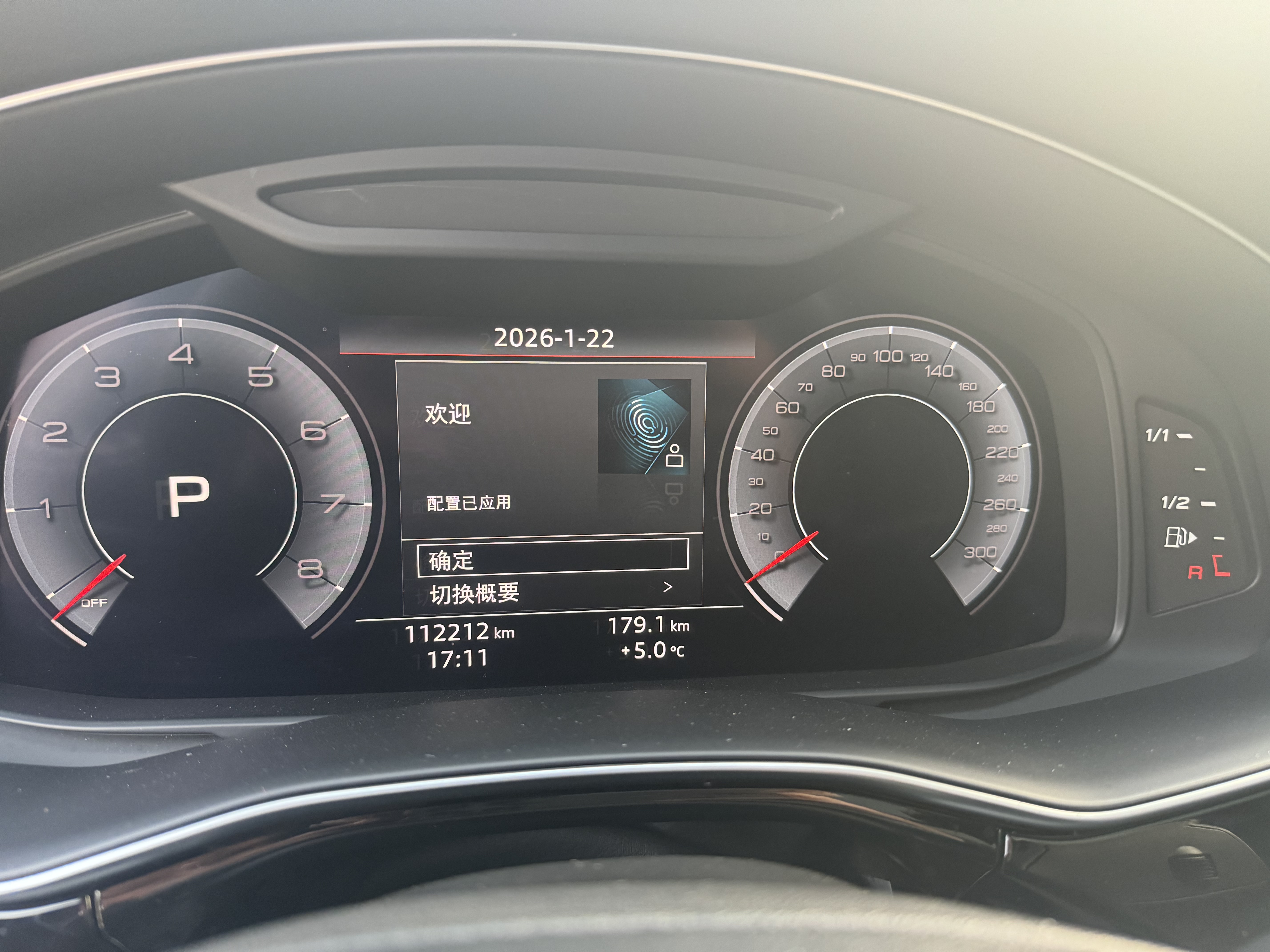 Audi Q8 2020 car image #12